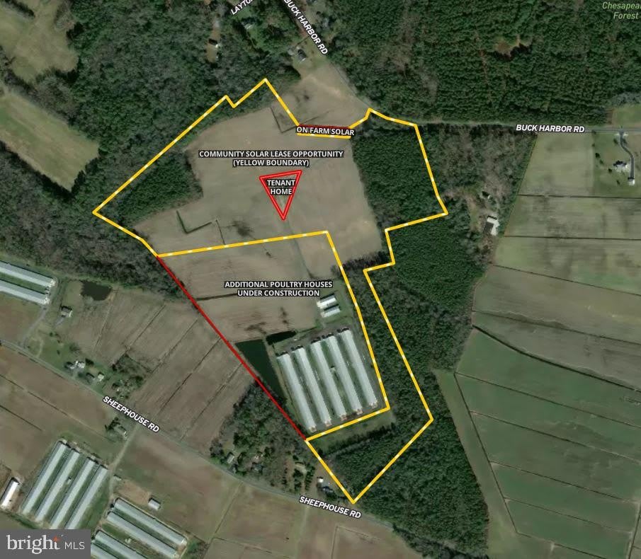 1725 Buck Harbor Road – photo 1