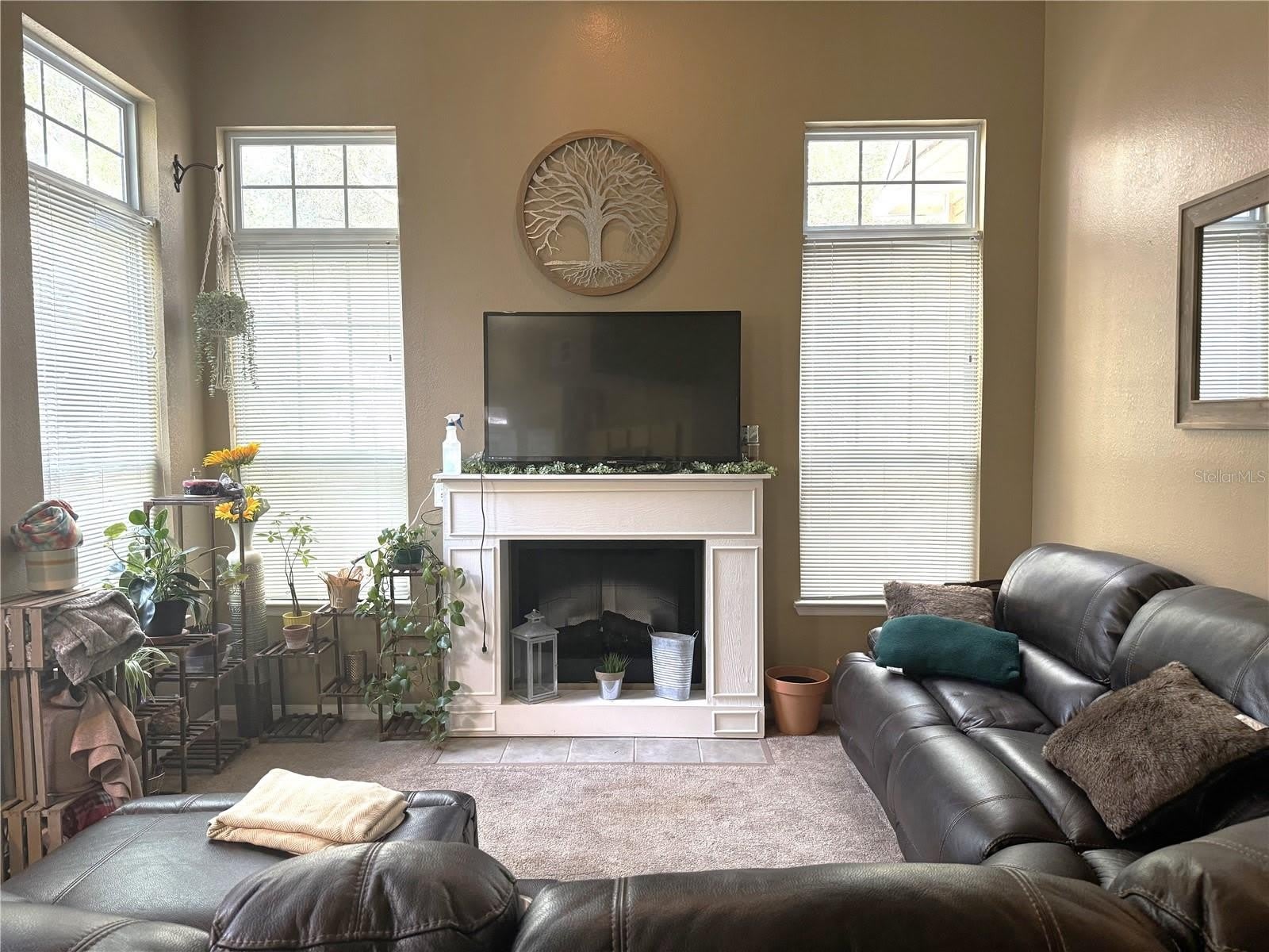 1101 VINTAGE VILLAGE Lane – photo 4