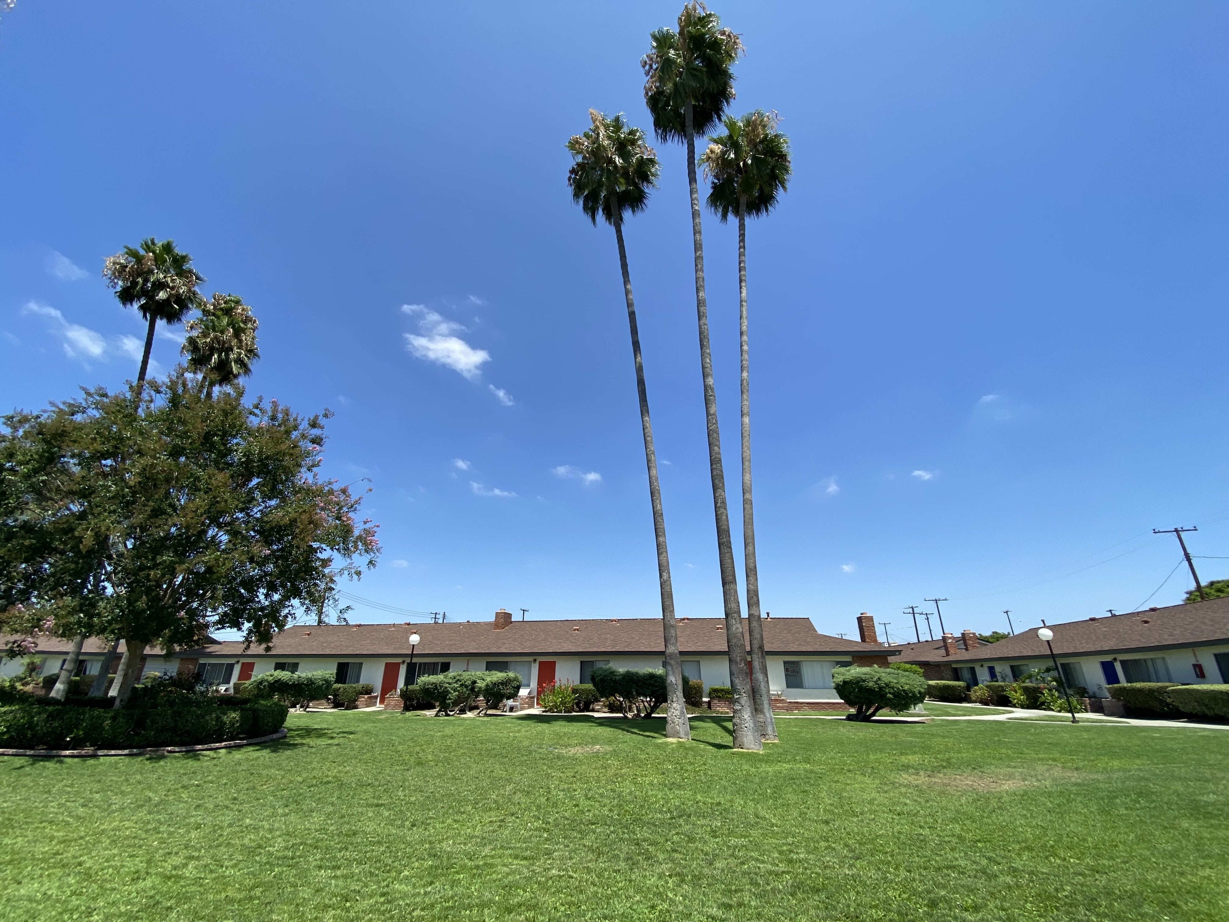 Orangewood Garden Apartments – photo 3