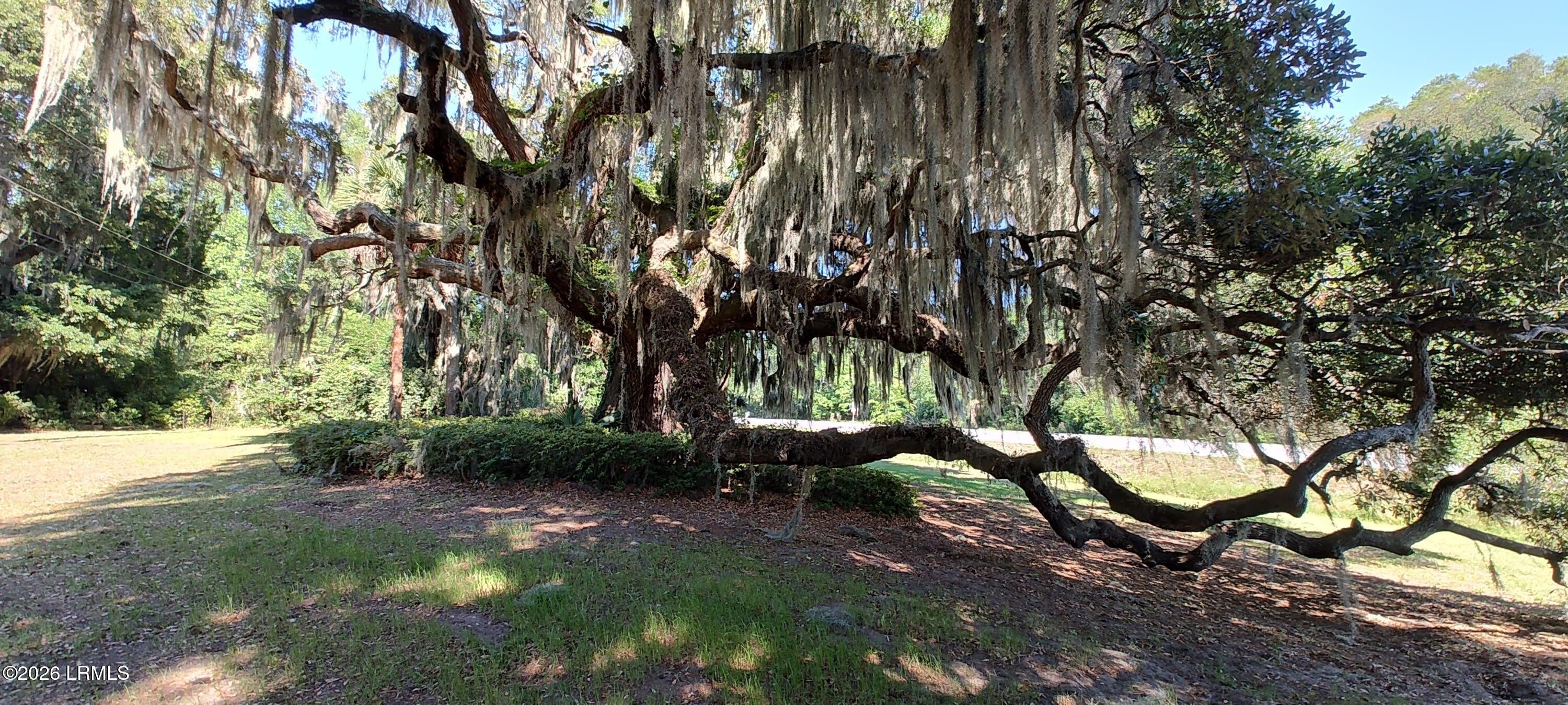 967 Sea Island Parkway – photo 3