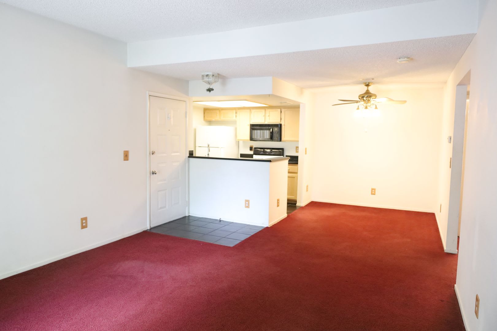 Lovely One Bedroom One Bathroom Apartment! – photo 2