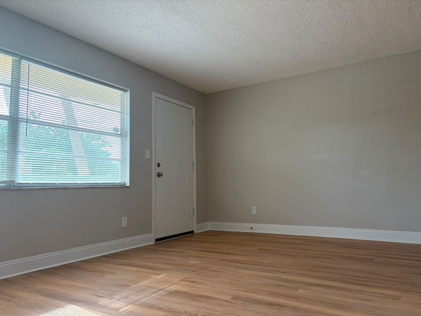 Updated One Bedroom Apartment Near Downtown Gulfport – photo 3