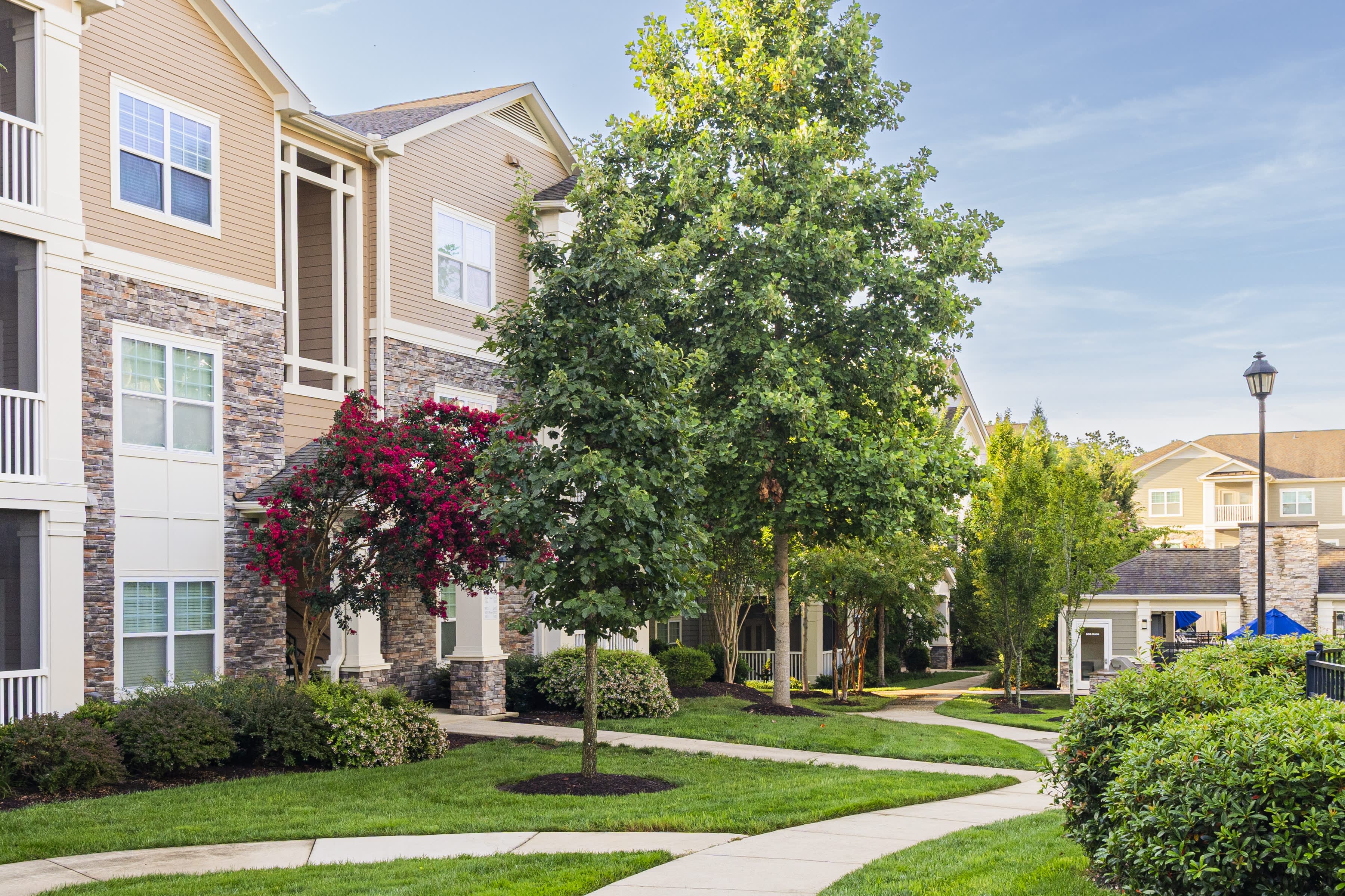 Oasis at Montclair – photo 5