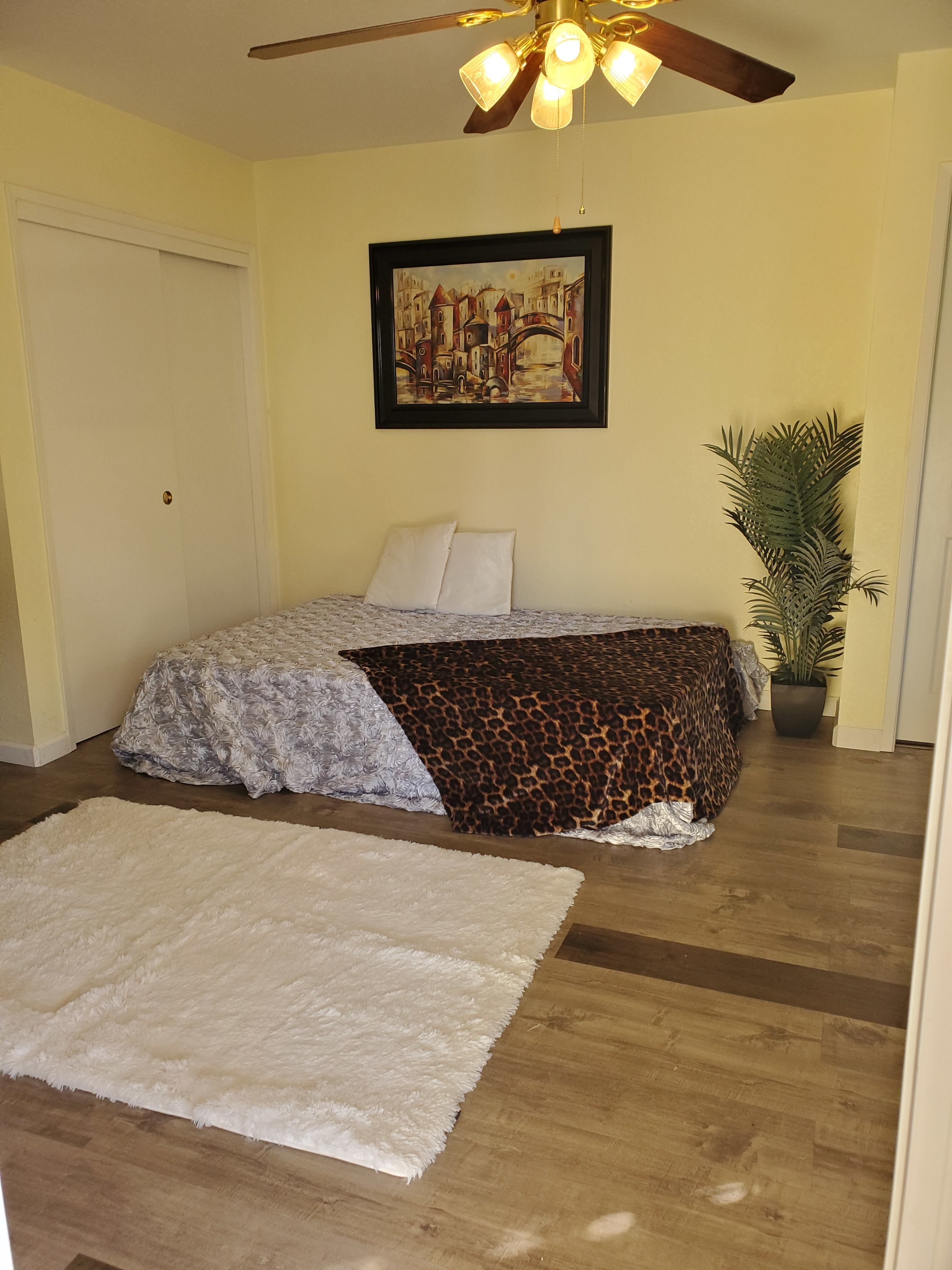 1539 Nob Hill Avenue – photo 3