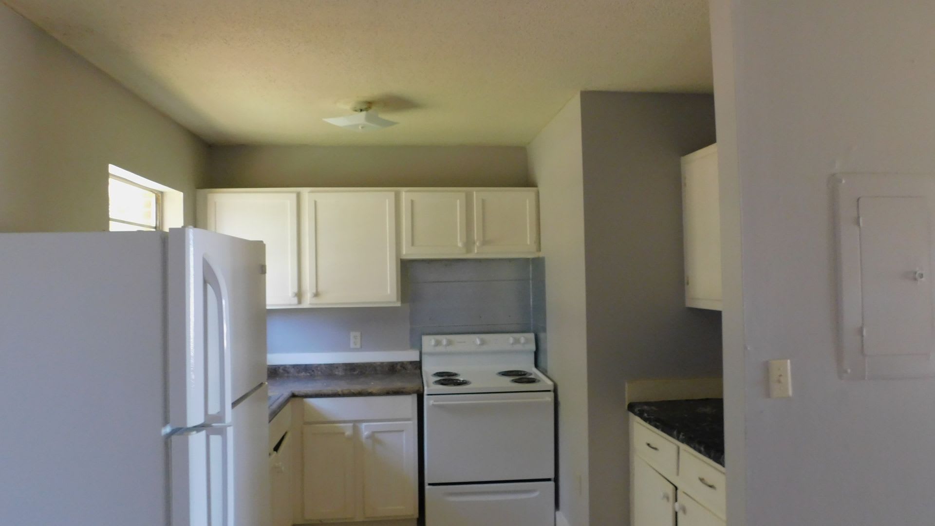 717 Richardson Kinston Al – photo 4