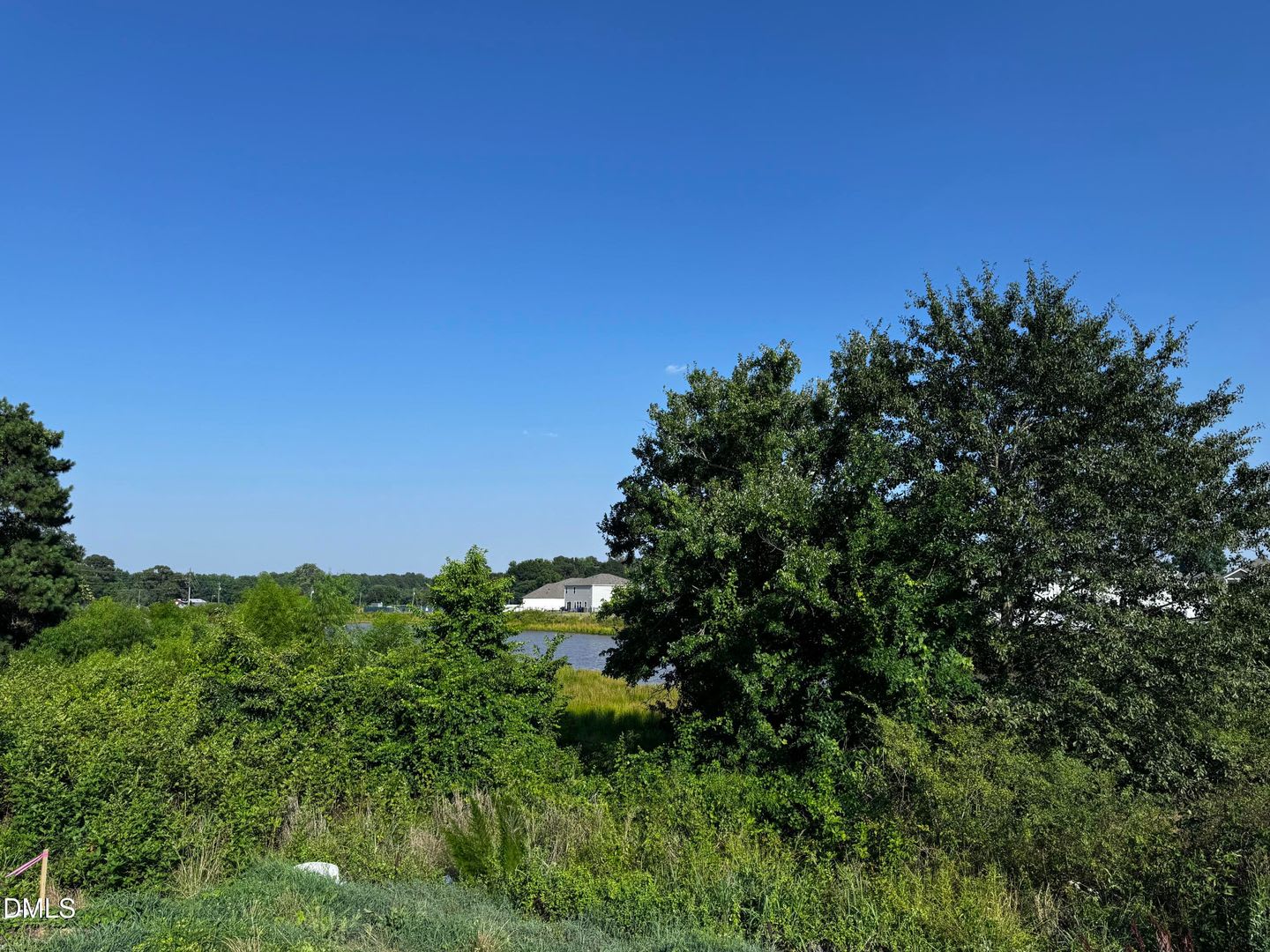 62 Thistle Patch Place – photo 5
