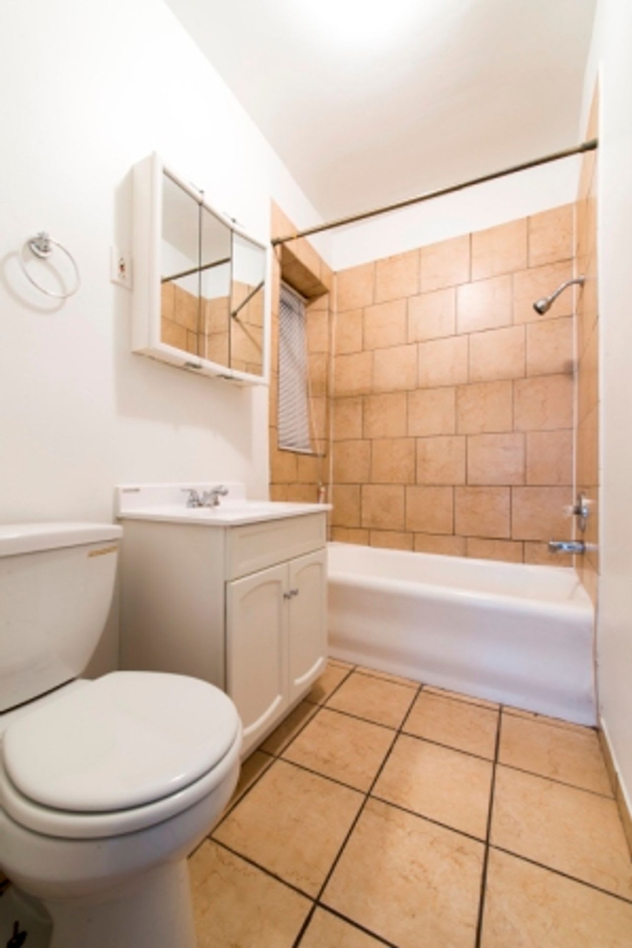 7354 South Dorchester – photo 5