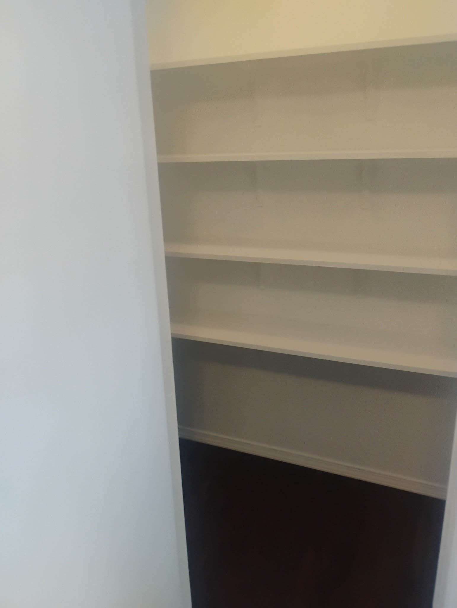 411 Cooke Street – photo 5