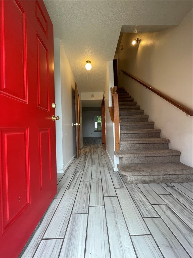 4110 Sunflower Circle – photo 3