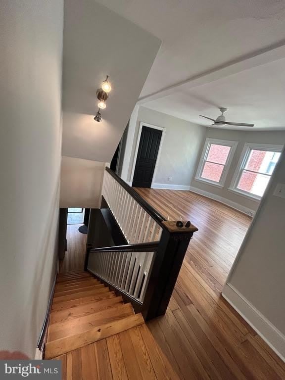217 N Adams Street – photo 3