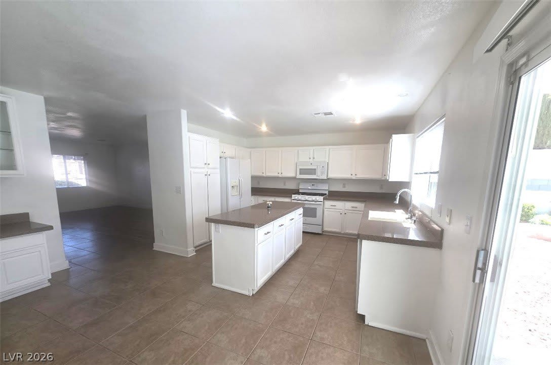 977 Cardelina Lane – photo 5