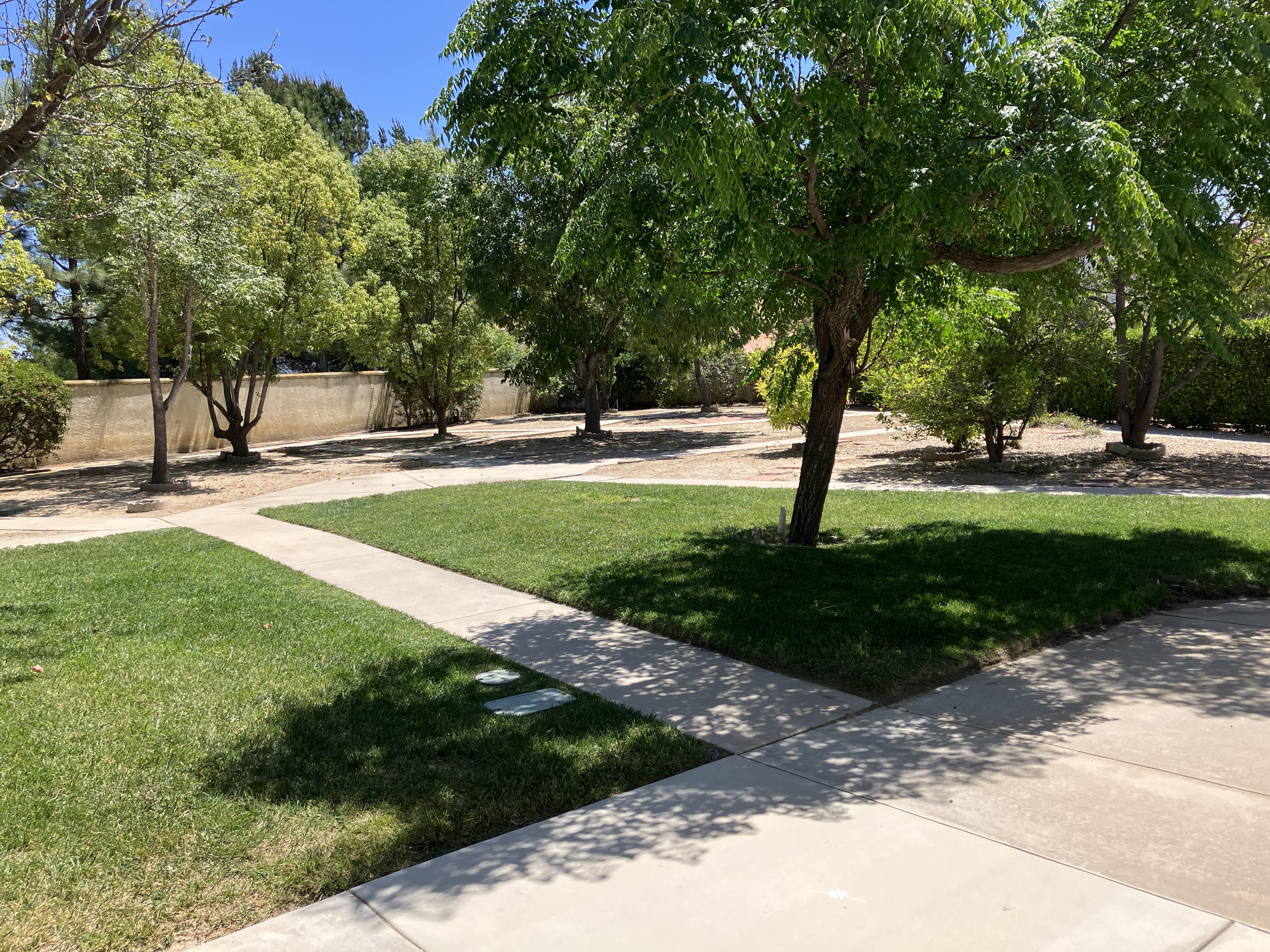 43553 Calle Nacido – photo 2