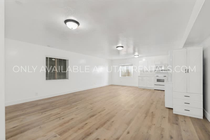 1076 Bear Hollow Ln Bsmt – photo 3