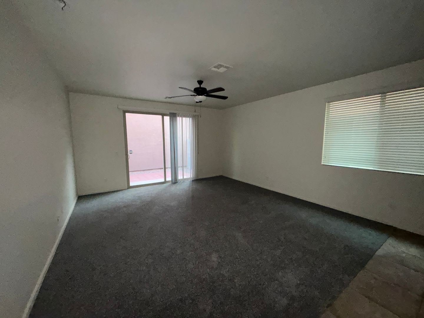Beautiful 3 bedroom home in Gilbert! NEW CARPET NEW PAINT – photo 5