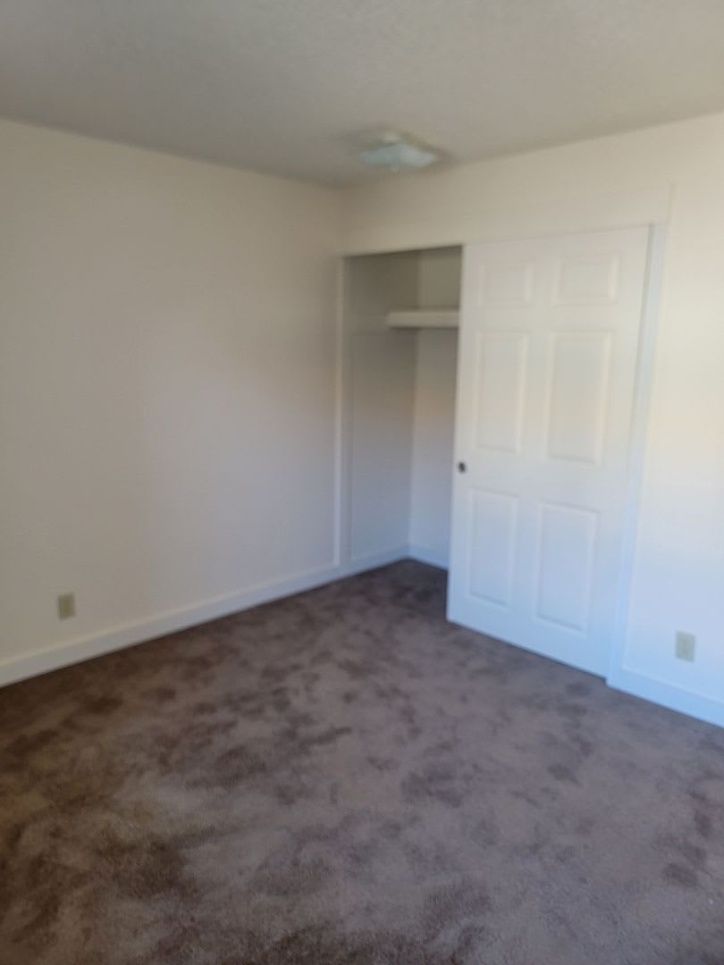 251 Pine Crest Apartments – photo 3