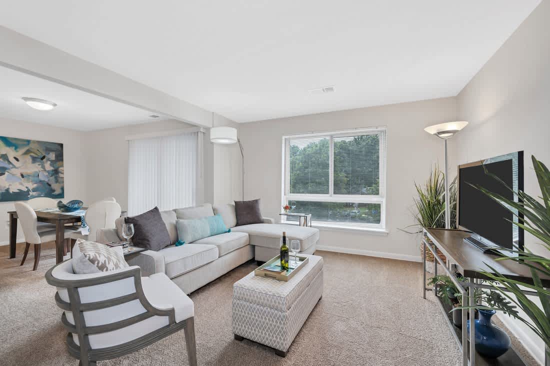 Hermitage Square Apartments – photo 2