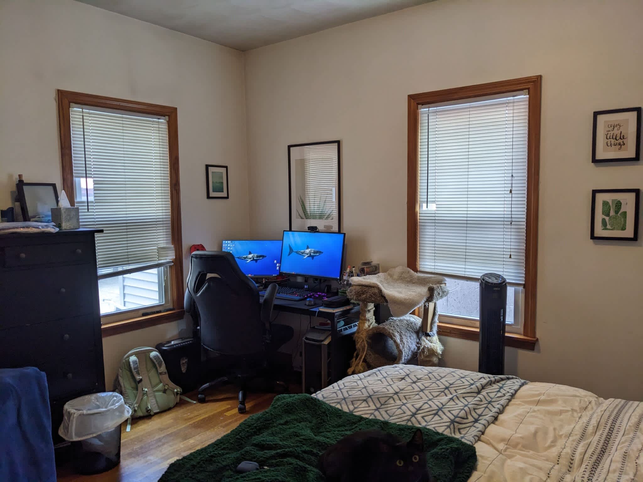 145 Pearl Street #1 – photo 2