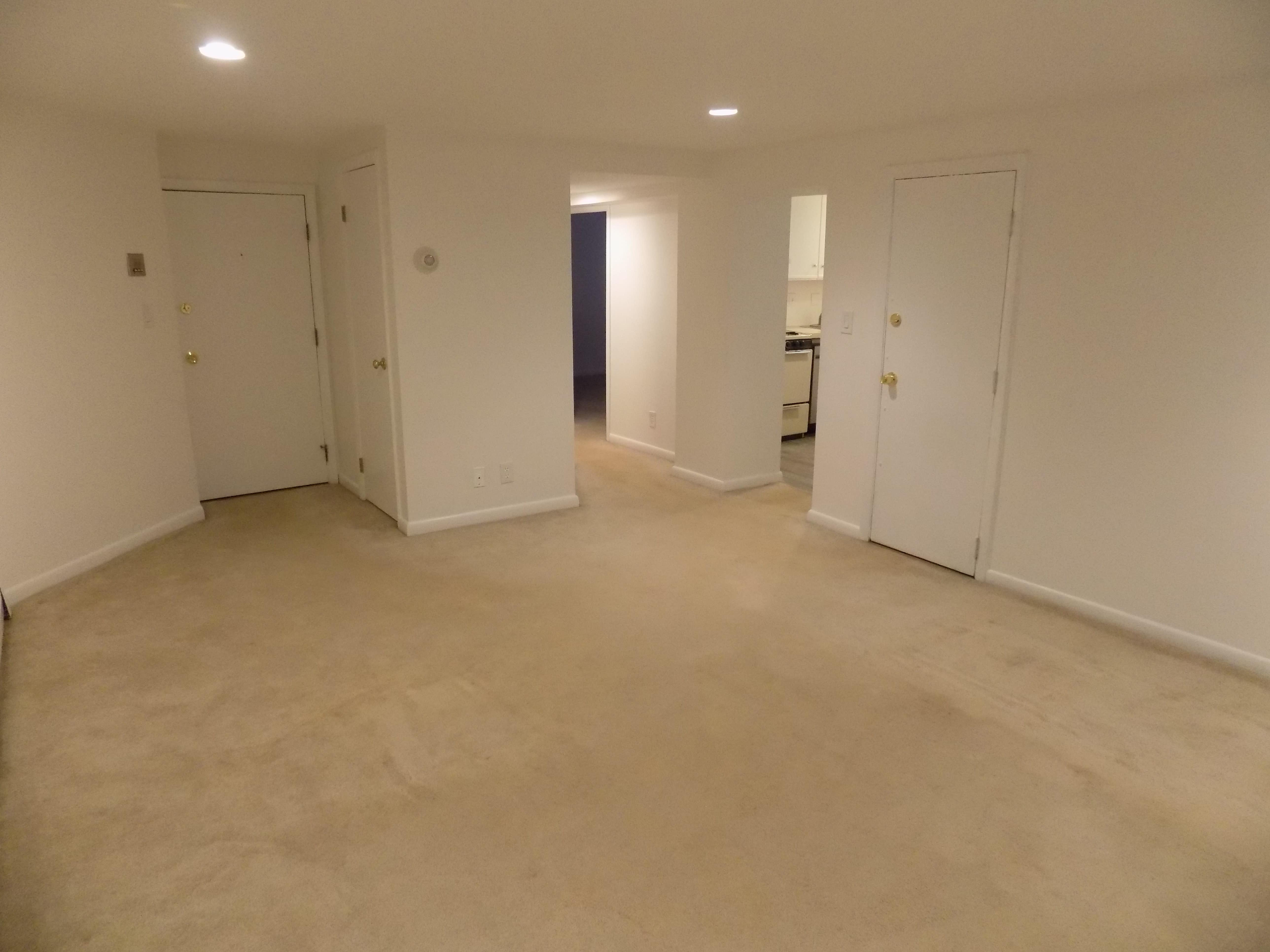 26 Commonwealth Terrace – photo 5