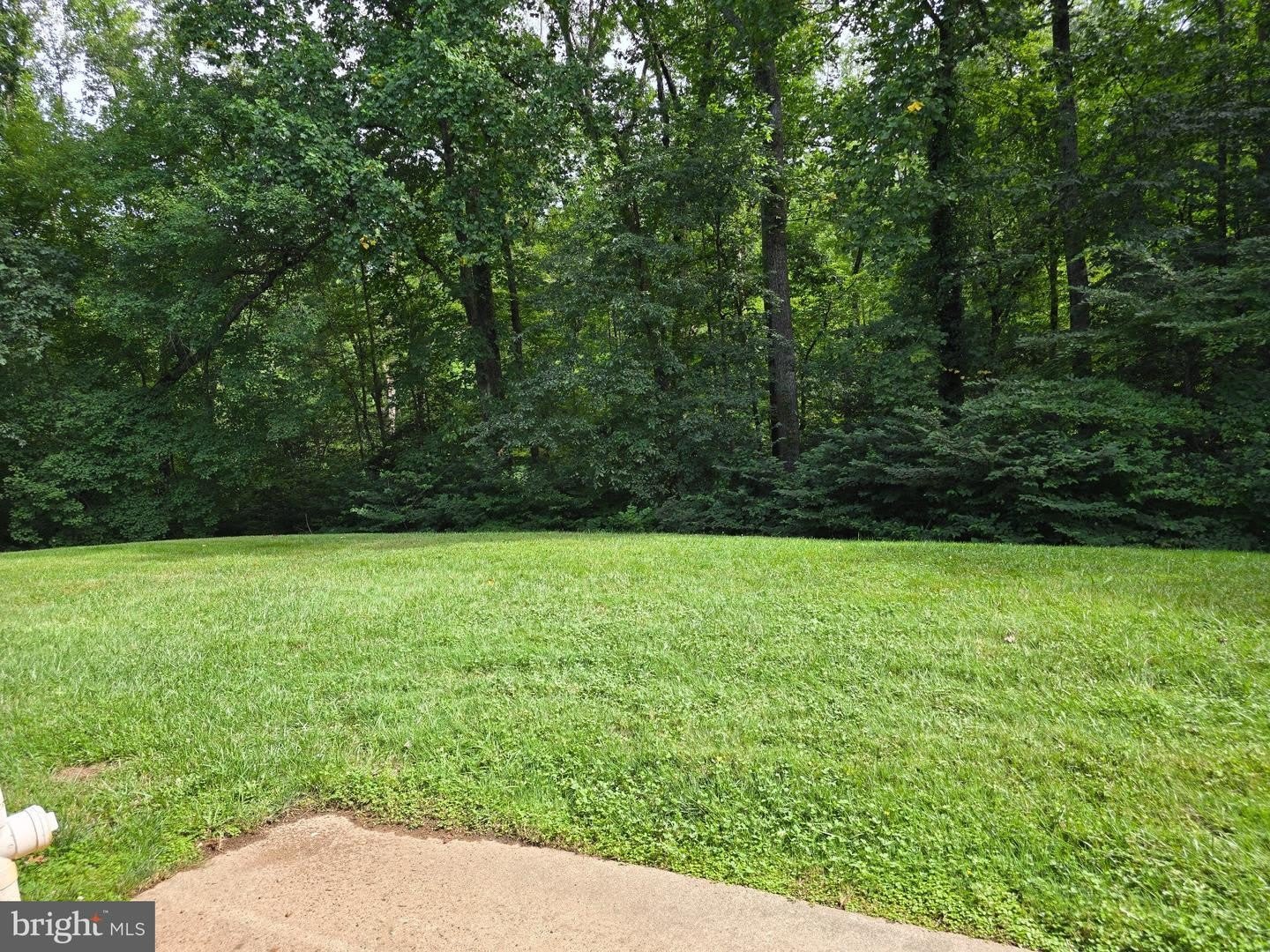 11617 Stoneview Sq 1B – photo 2