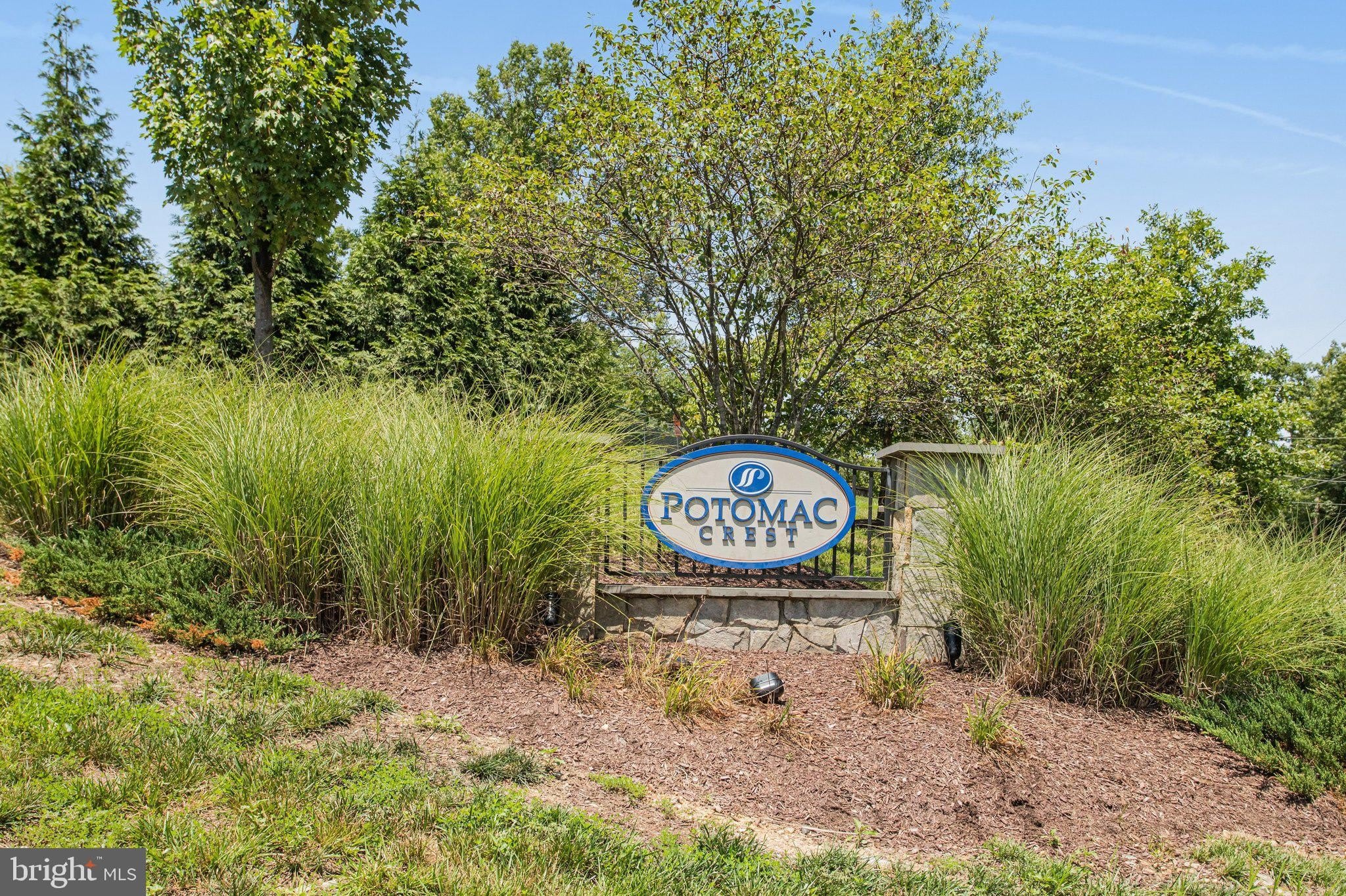 1567 RENATE Drive – photo 2