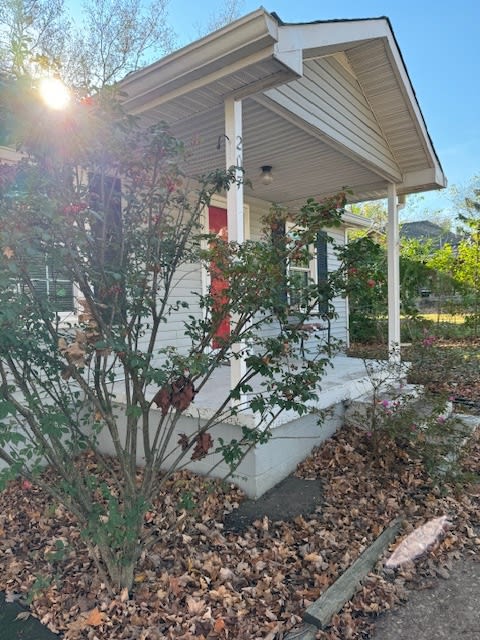 207 Lutie Street – photo 3