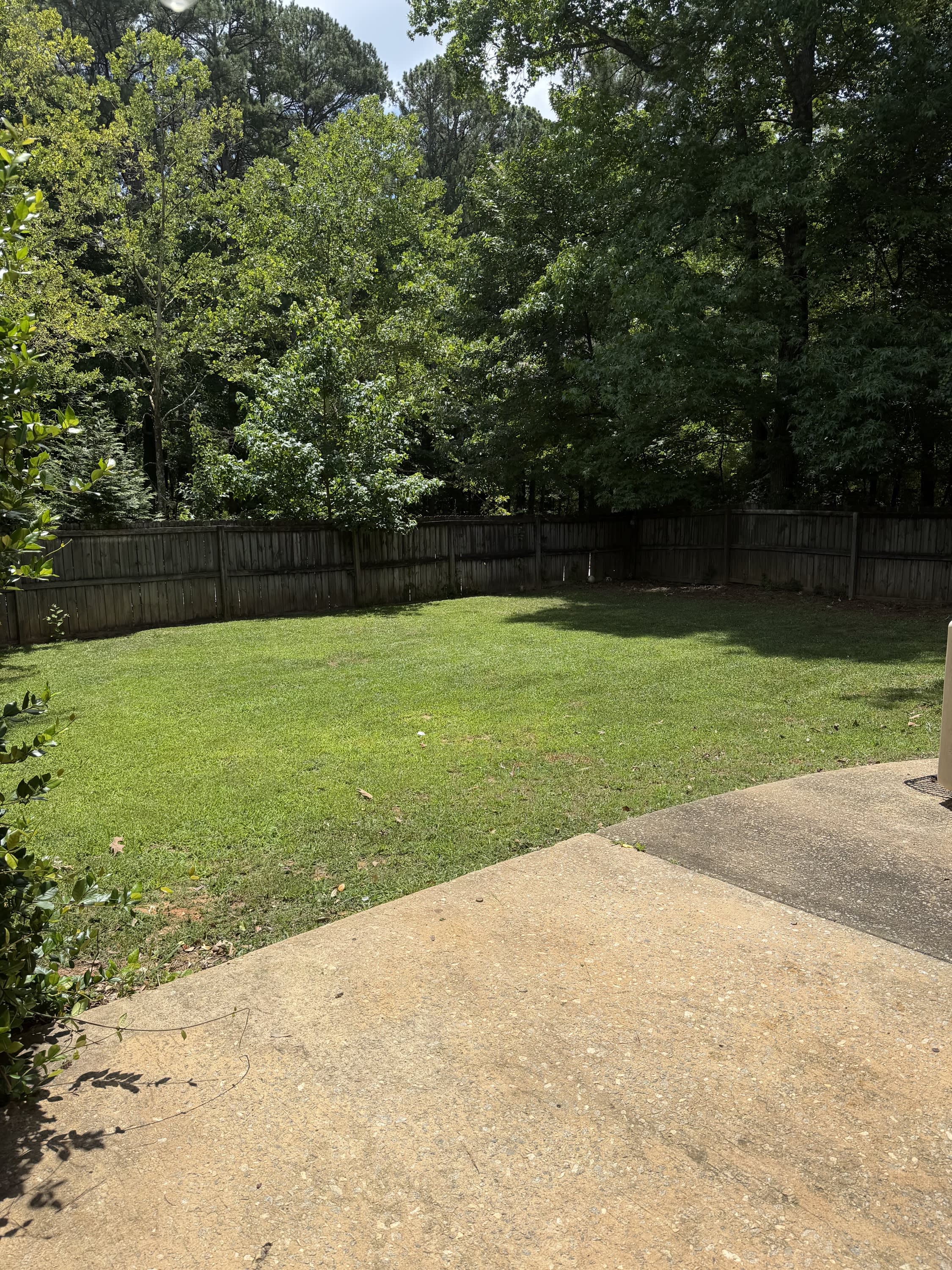106 Timber Walk – photo 3