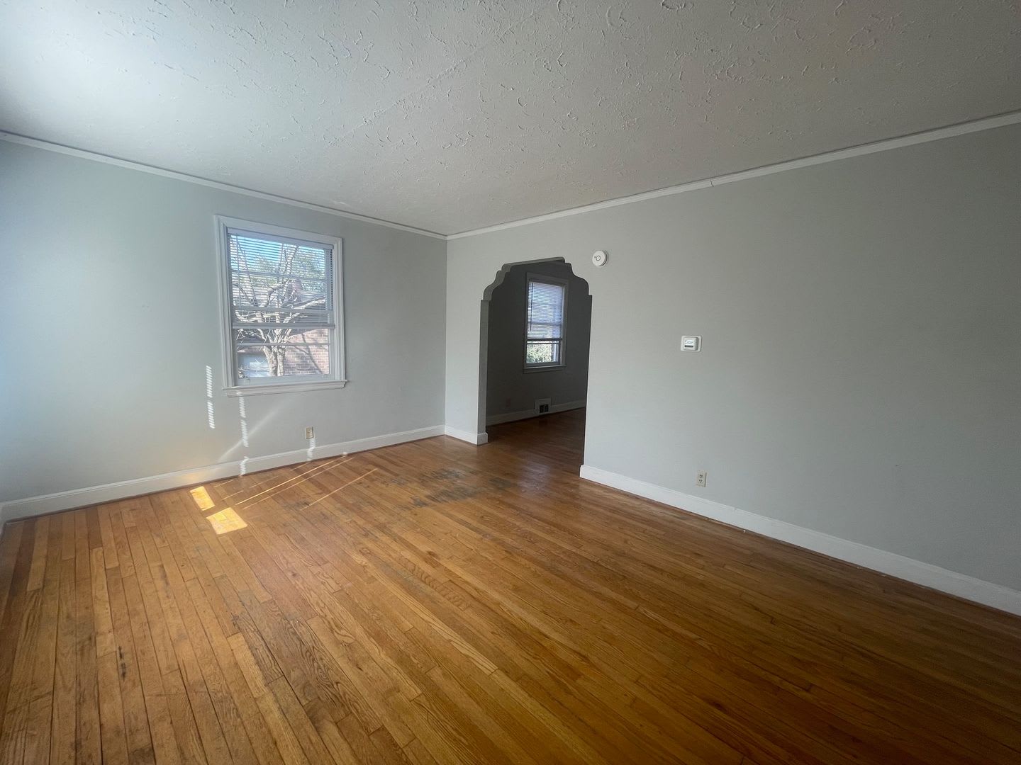 Duplex on Saluda Ave. – photo 4