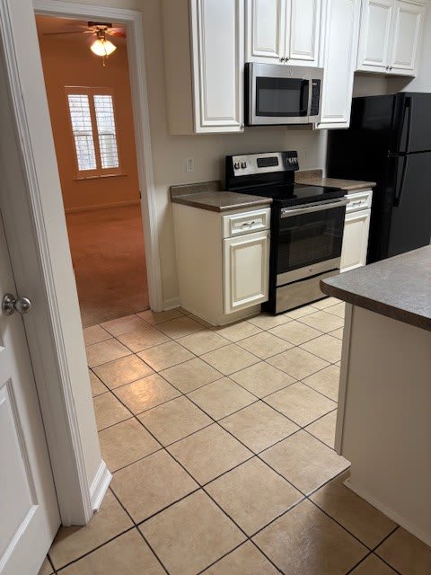 609 Glade Fern Way – photo 4