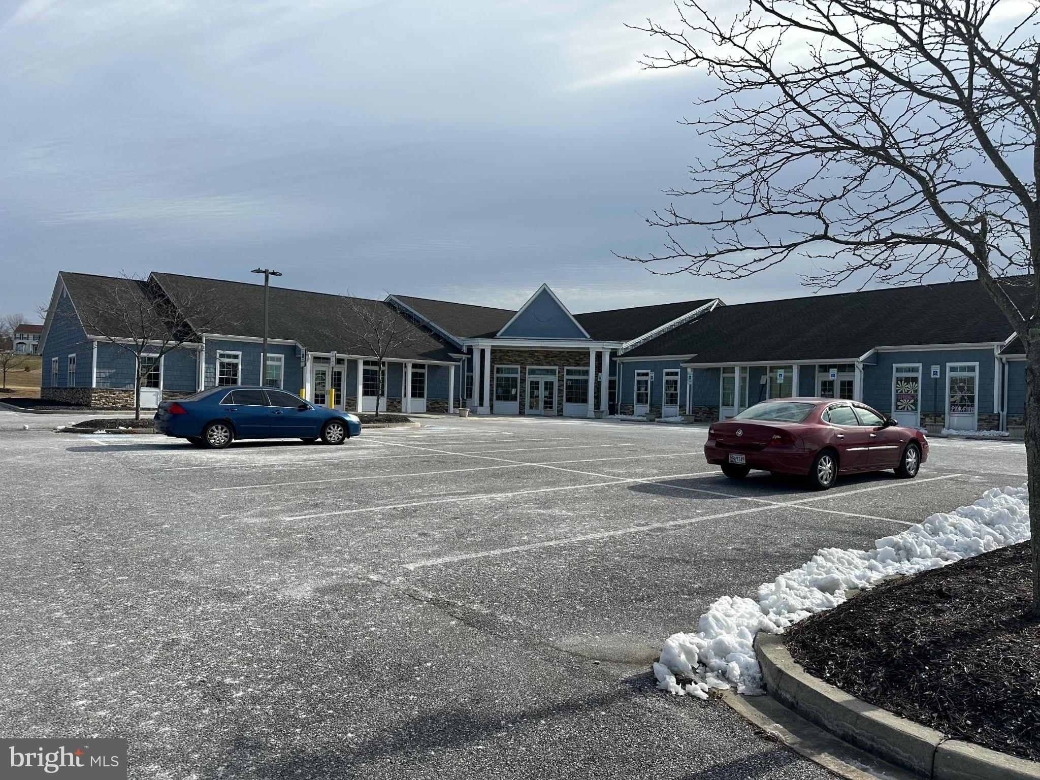 41 Magna Way – photo 2