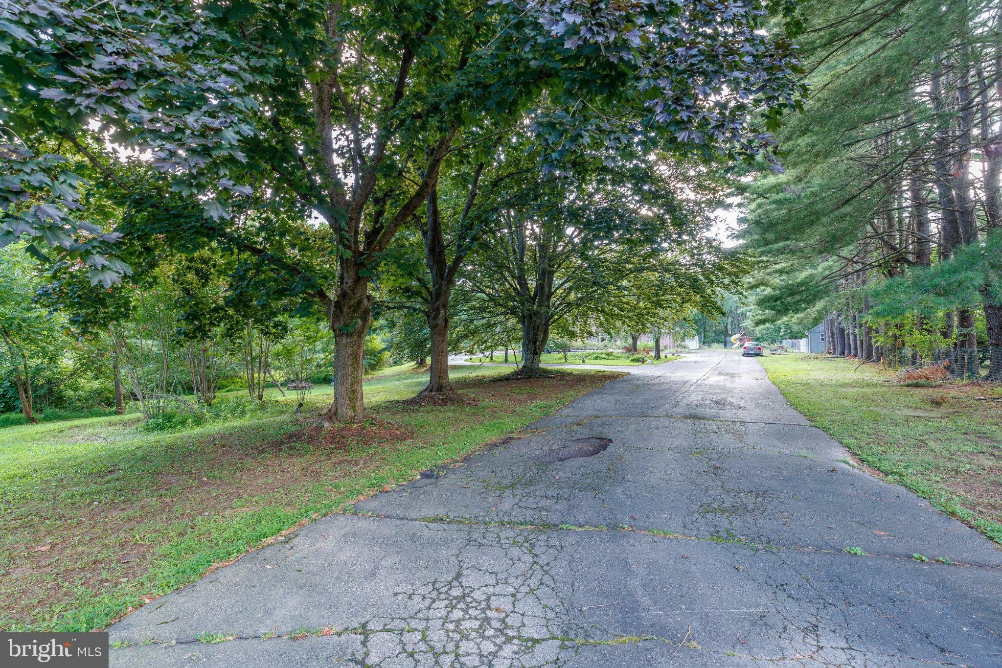1135 ROMSEY Drive – photo 2