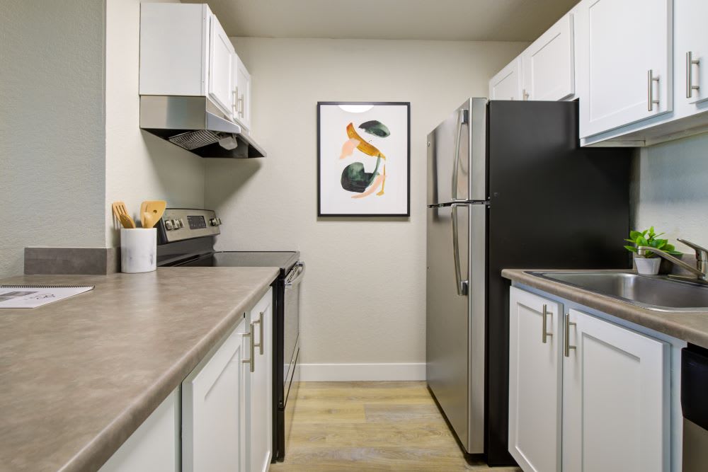 Terra Apartments – photo 5
