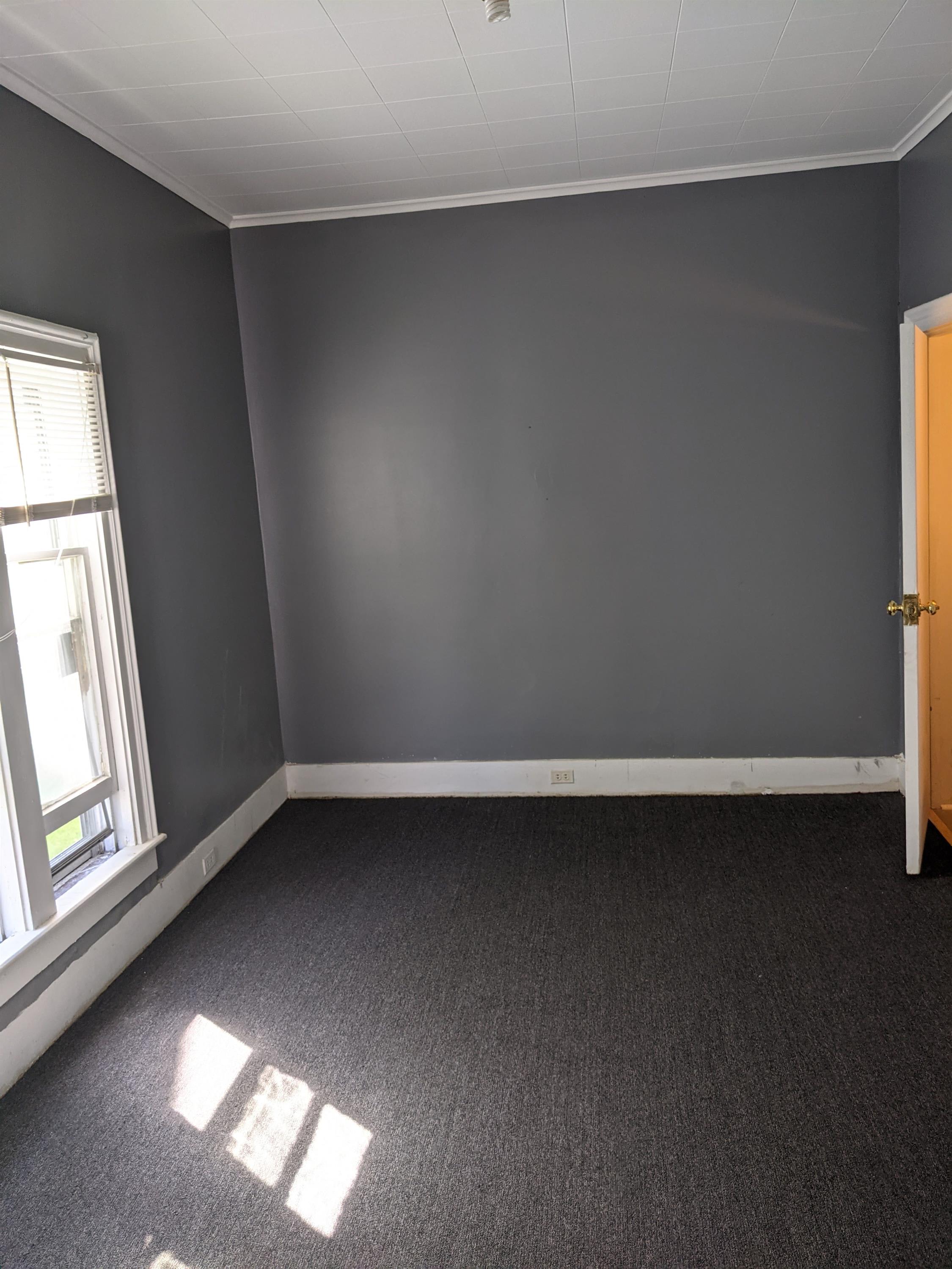 607 Pine St. – photo 3