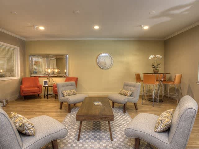 Davinci – photo 2