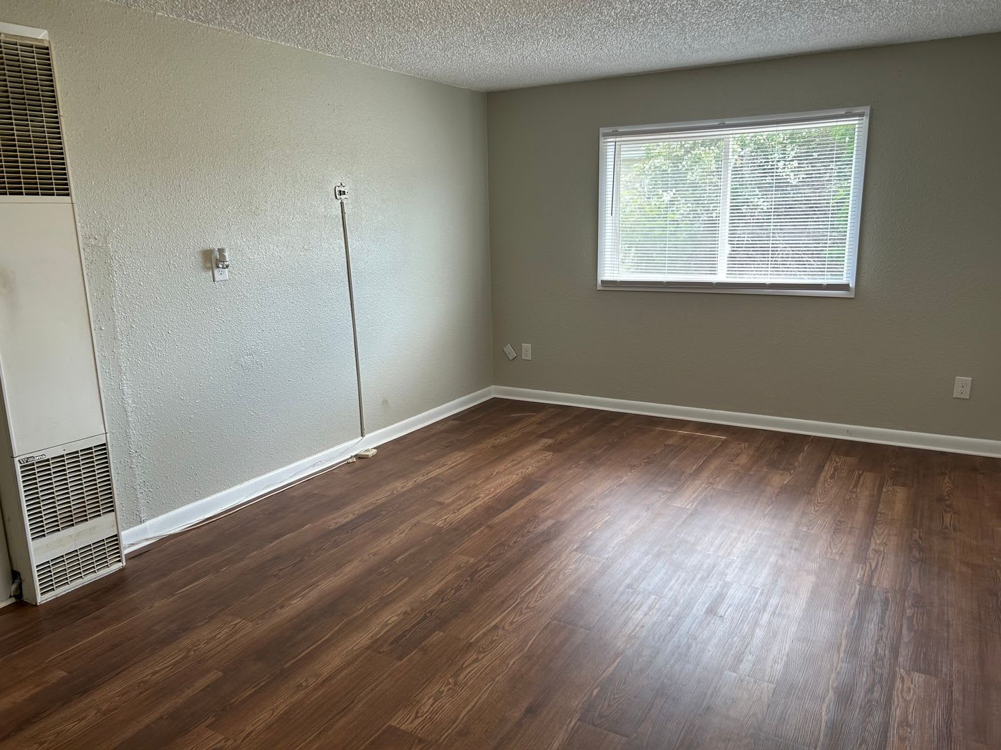 1 bed + 1 bonus room apartment in Laurel – photo 3
