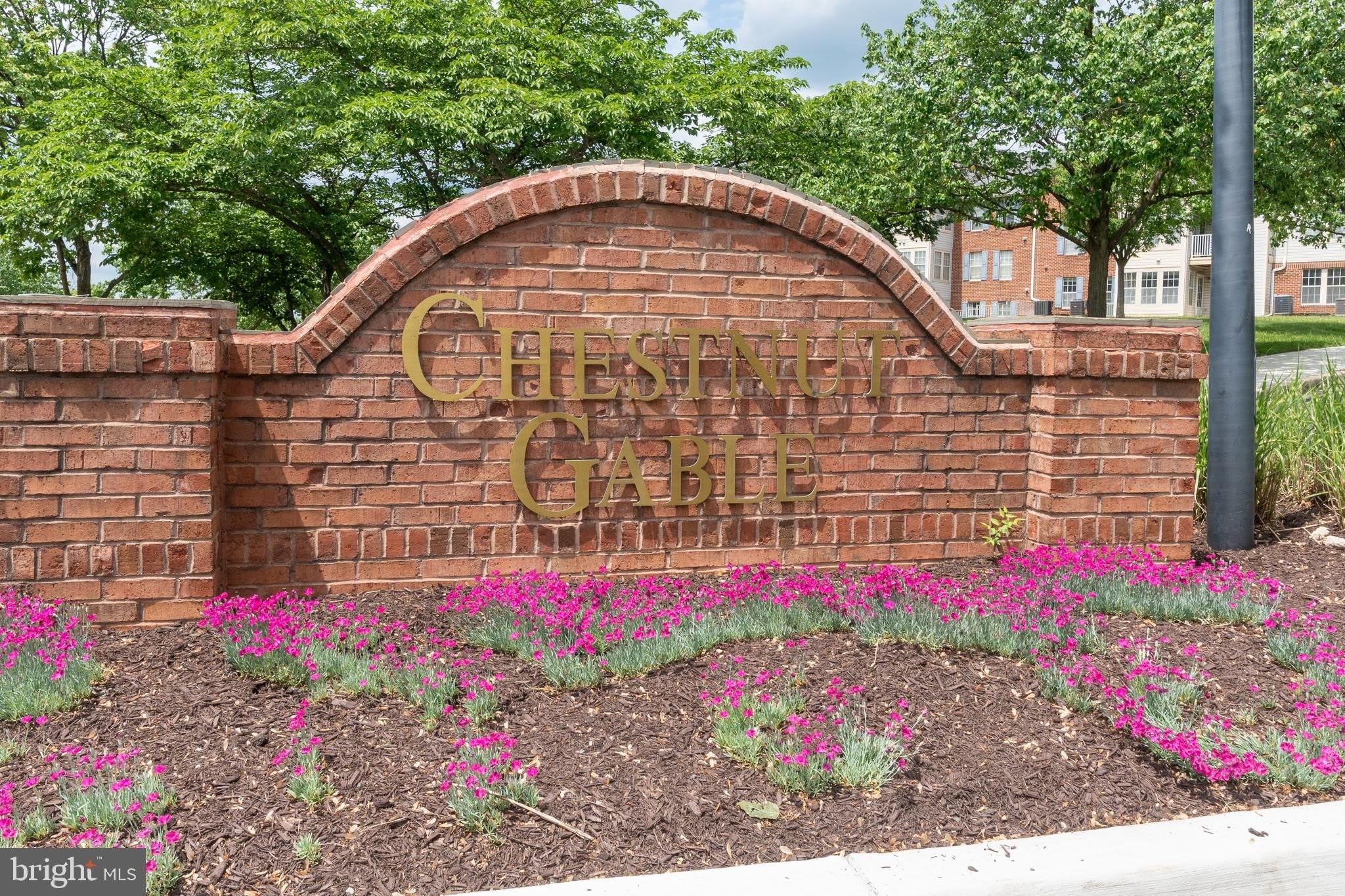 689 WINDING STREAM Way – photo 2