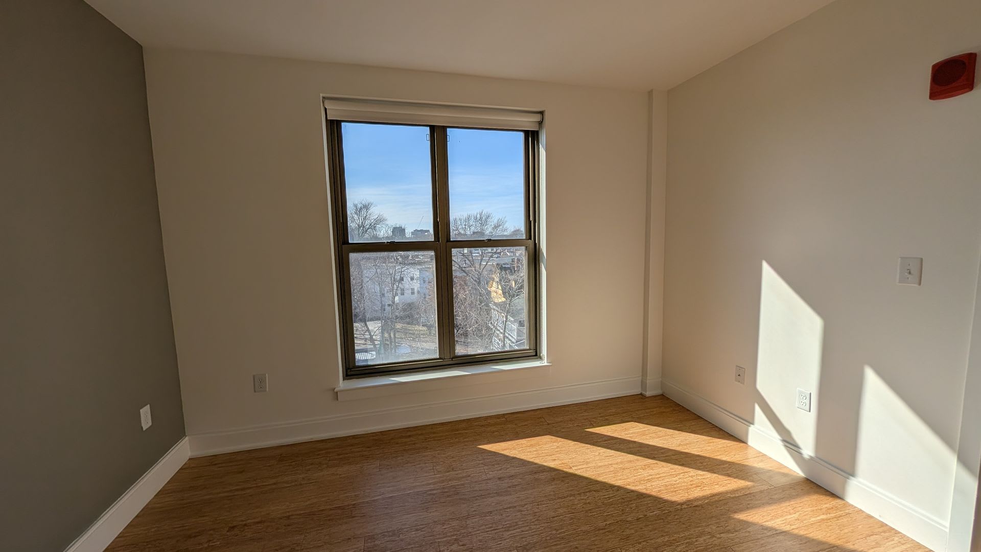Sunny, Modern Allston 2-Bed/2-Bath Steps from Packard's Corner! – photo 5