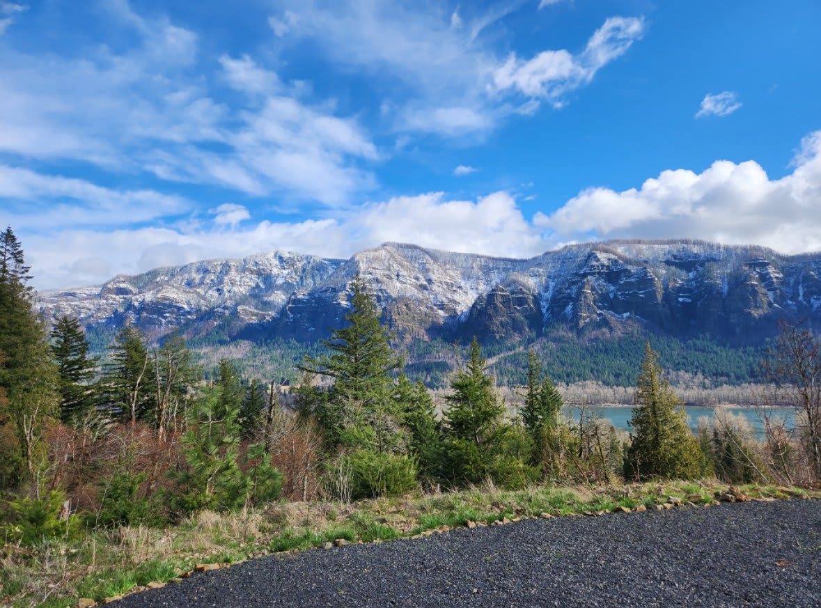 304 Duncan Creek Rd – photo 5