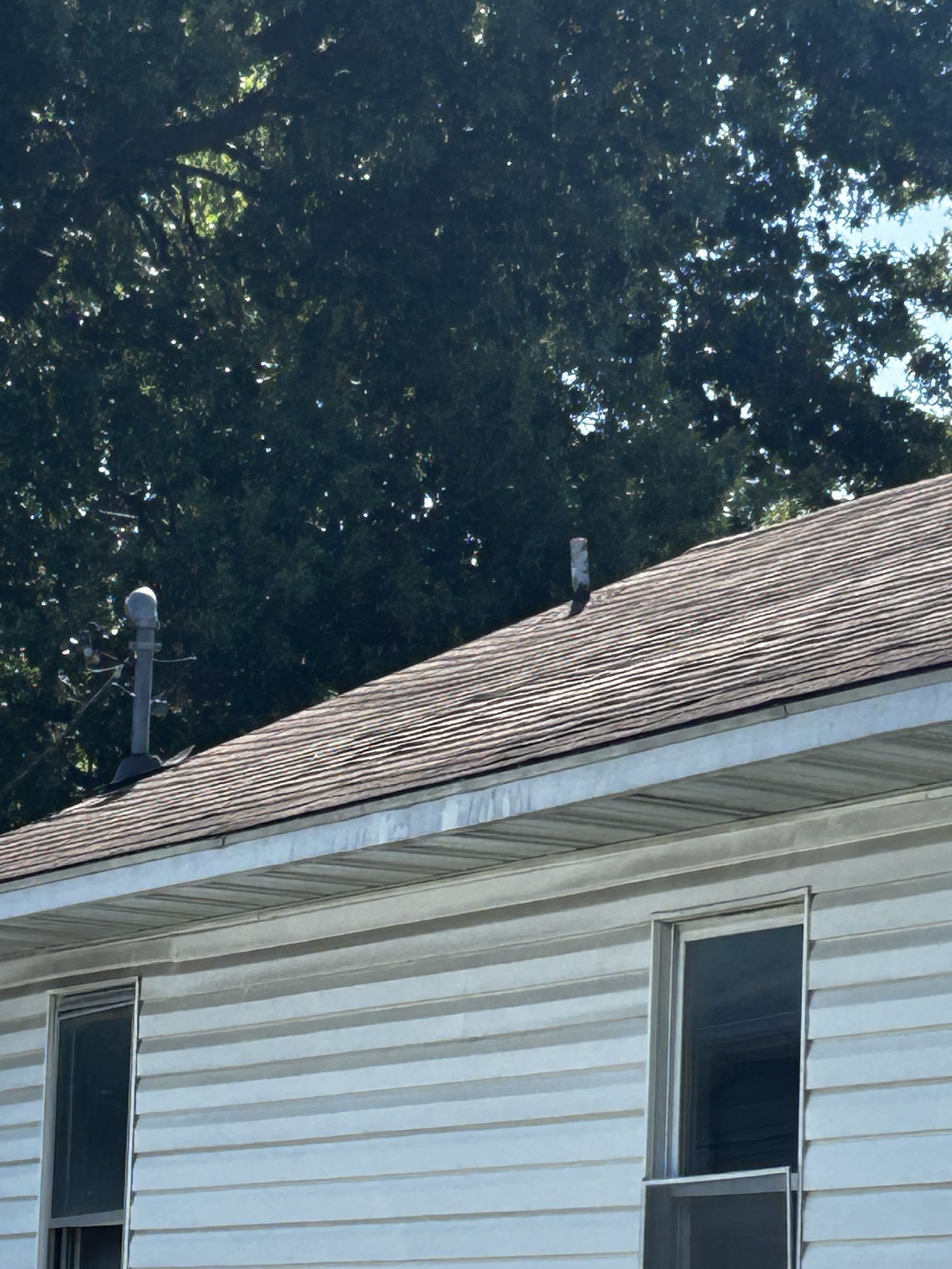 224 Lincoln Ave – photo 5