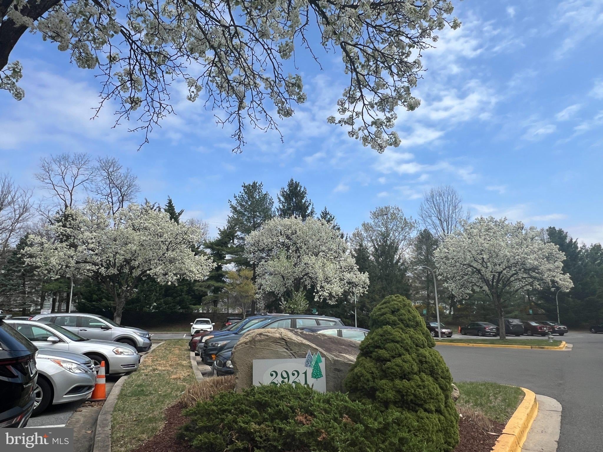 2921 N LEISURE WORLD Boulevard – photo 2