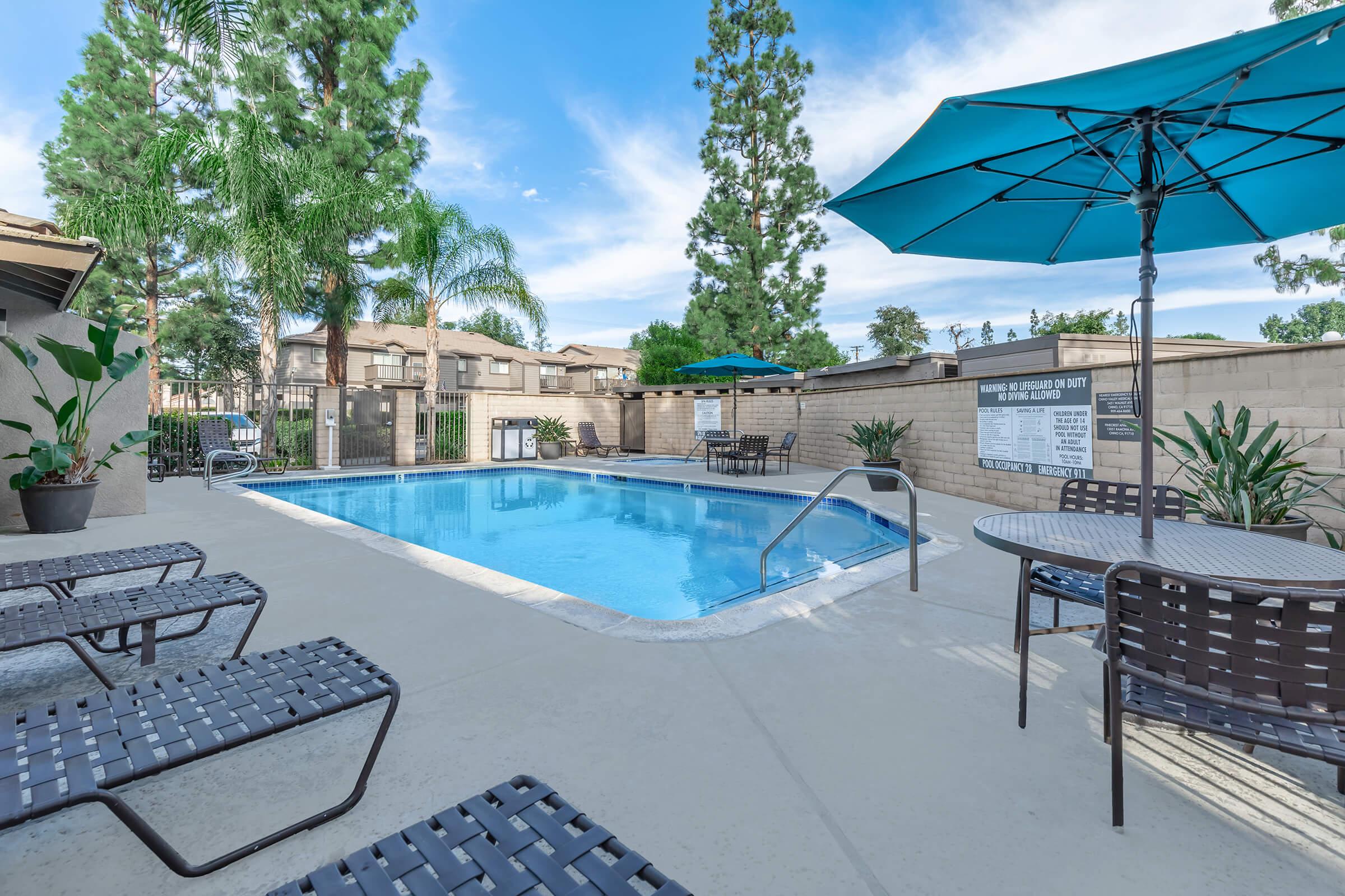Pinecrest Apartment Homes – photo 5