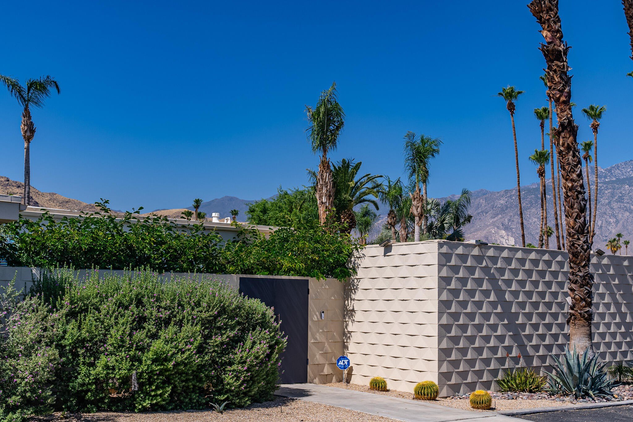 320 Desert Lakes Drive – photo 3