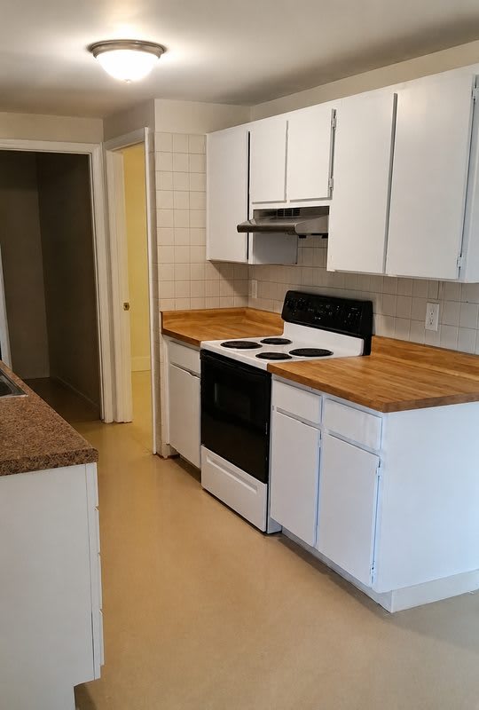 3712 Patina Drive – photo 4
