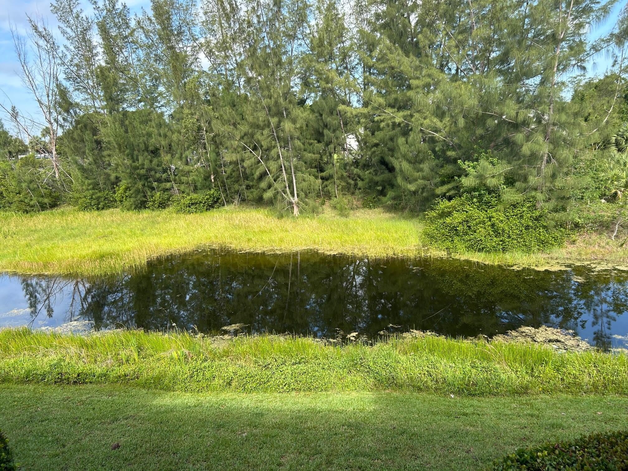 1169 Golden Lakes Boulevard – photo 2