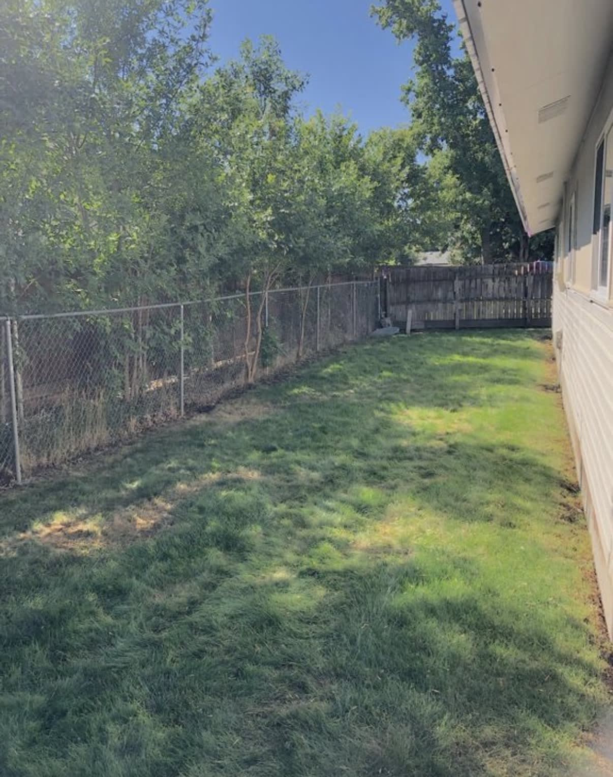 5822 Ensign Ave – photo 5