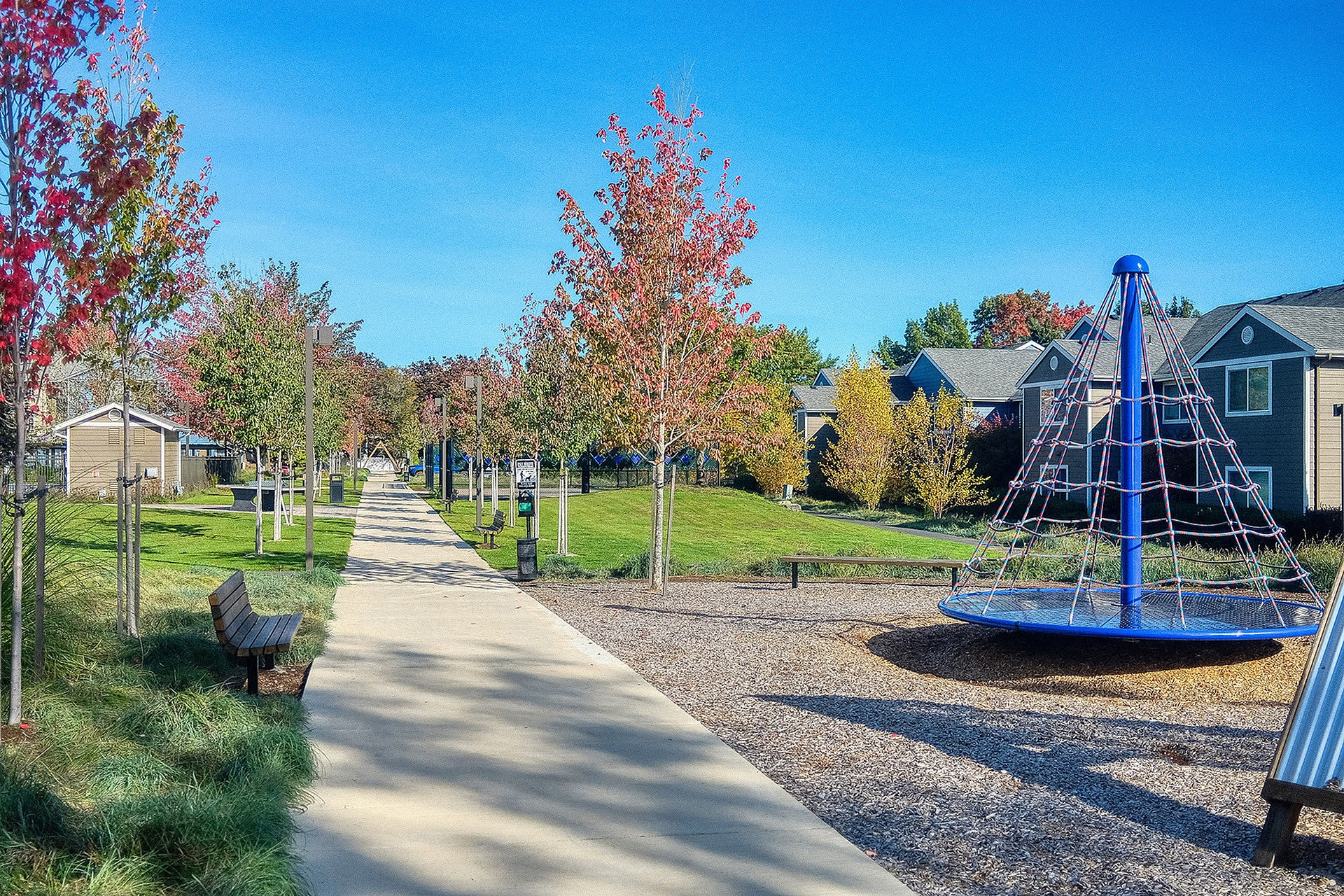 Conifer Place Apartments – photo 2