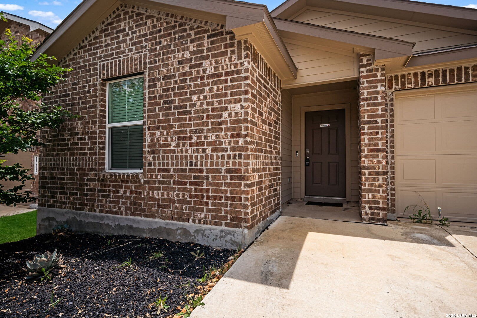 15446 Shortwing – photo 4