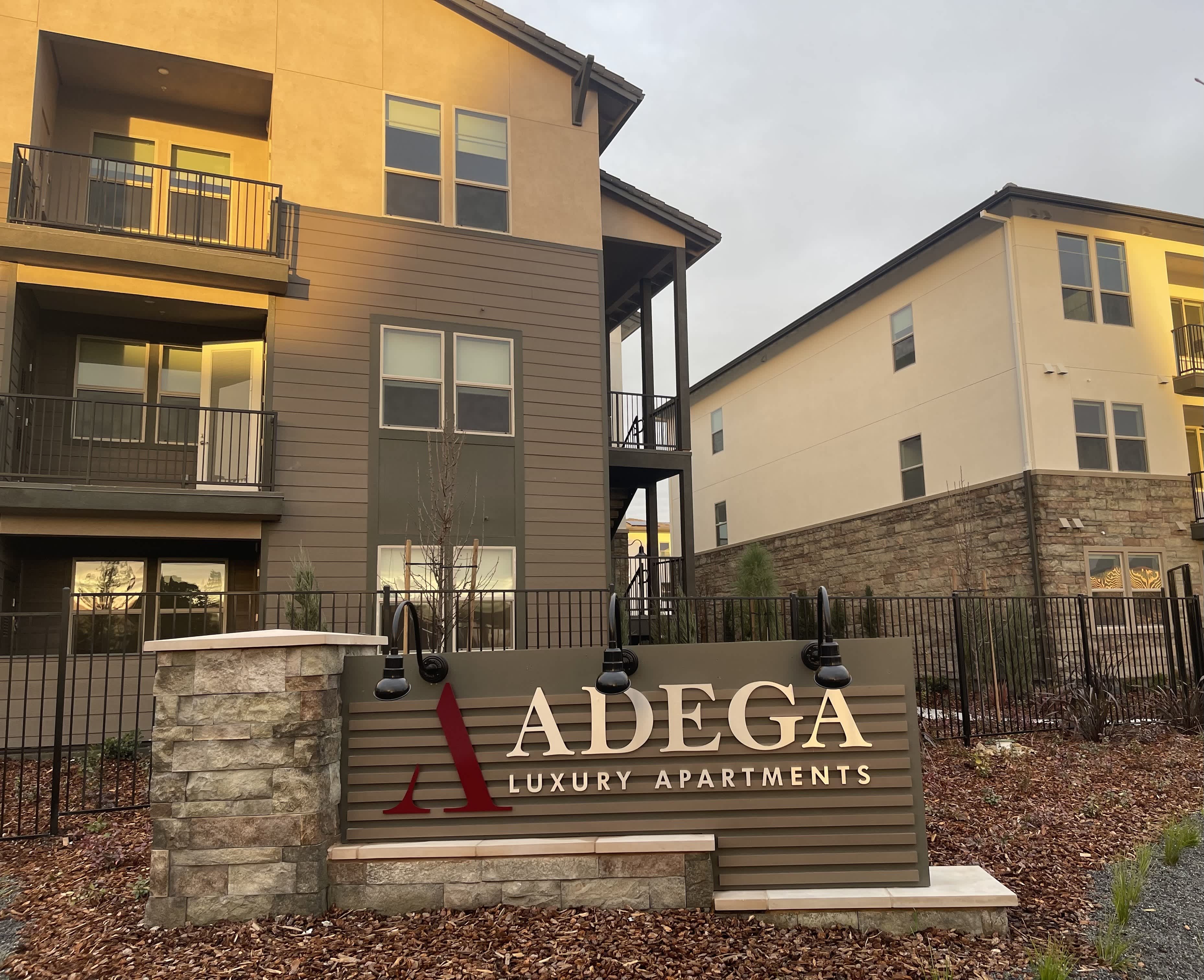 Adega – photo 4