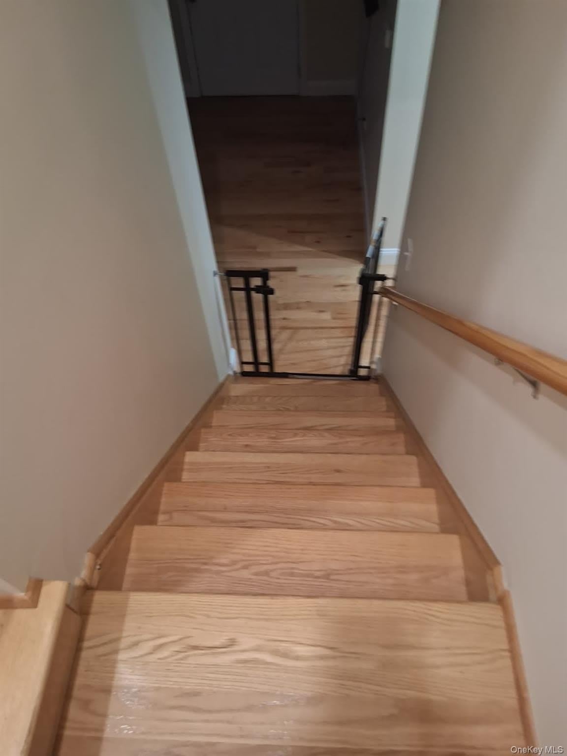 601 E 226Th Street – photo 4