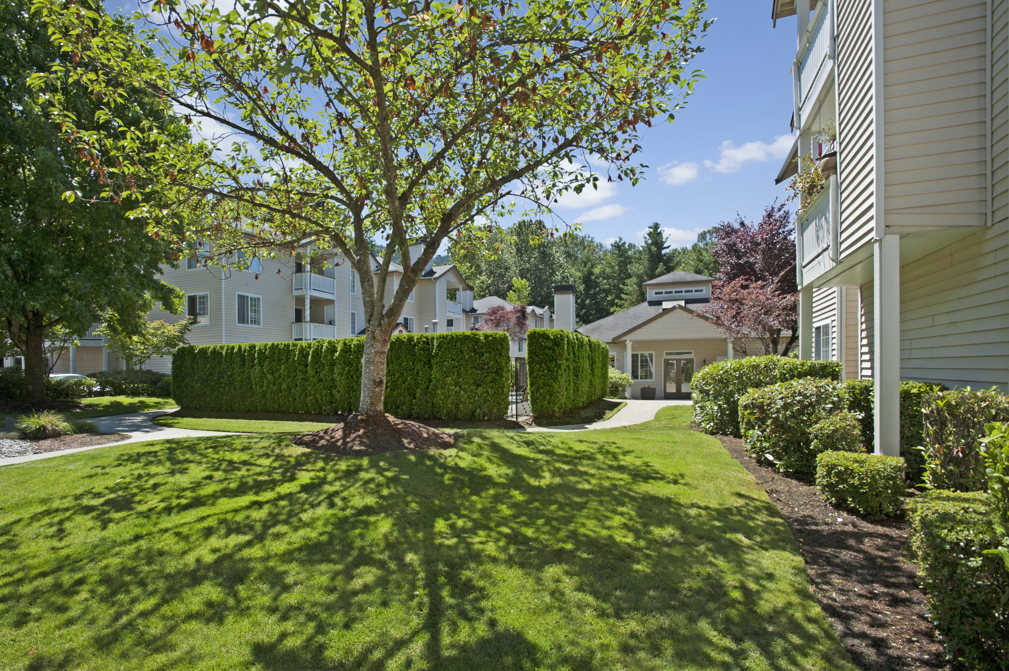 Windsong Apartments – photo 4