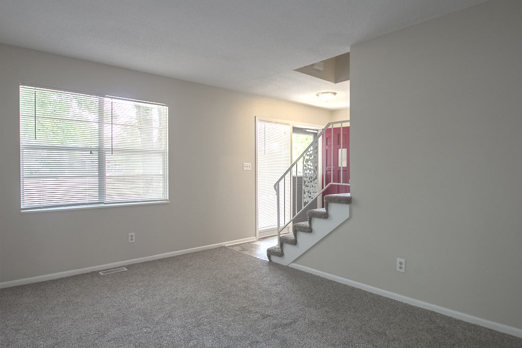 Newly Remodeled 3 Bedroom with Finished Basement – photo 3